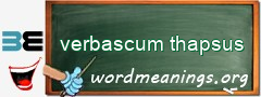 WordMeaning blackboard for verbascum thapsus